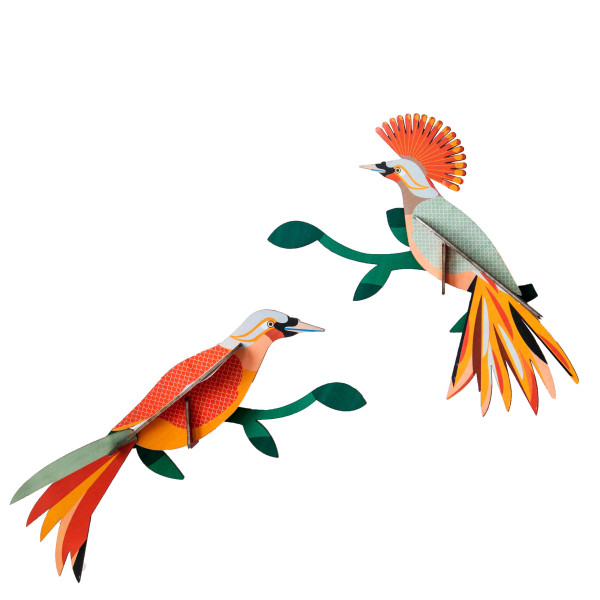 3D-Wanddeko-Paradiesvogel-paar-Obi