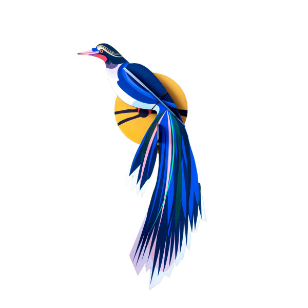 3 D Wanddeko-Paradiesvogel-Flores-blau