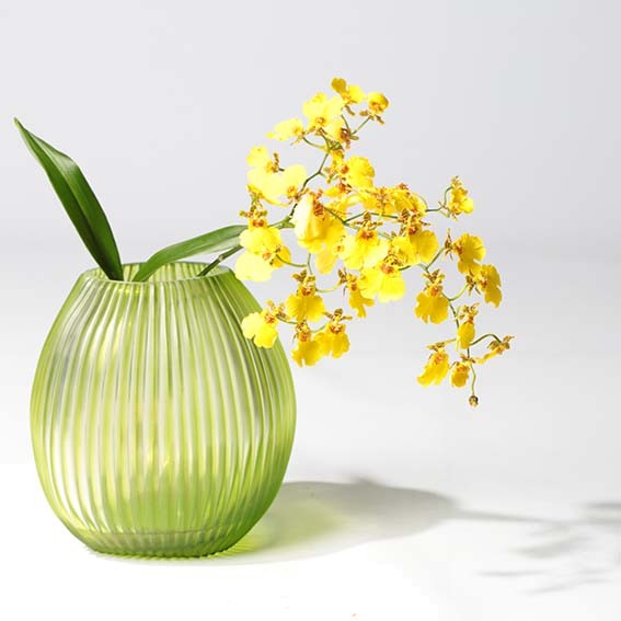 Guaxs-vase-Nagaa-M-L-clear-lightgreen-1749-cllg
